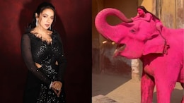 After 'Pink' Elephant Death, Rupali Ganguly Writes To PM Modi Asking For A Ban On Elephant Rides