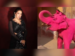 After 'Pink' Elephant Death, Rupali Ganguly Writes To PM Modi Asking For A Ban On Elephant Rides