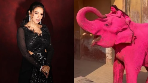 After 'Pink' Elephant Death, Rupali Ganguly Writes To PM Modi Asking For A Ban On Elephant Rides