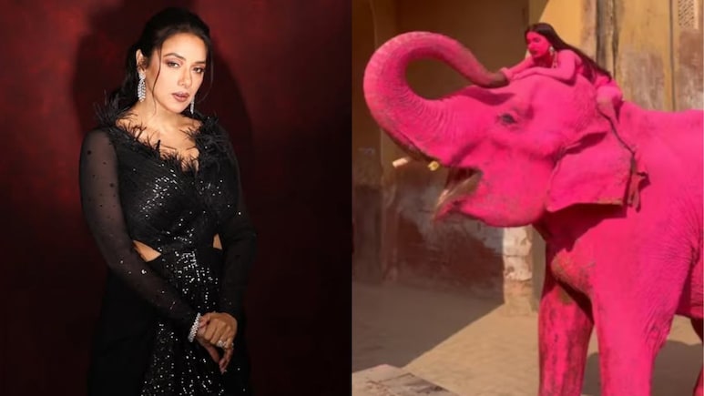 After 'Pink' Elephant Death, Rupali Ganguly Writes To PM Modi Asking For A Ban On Elephant Rides