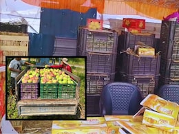 Pune News : आंबे सांभाळून ठेवा! पुण्यात आंबेचोरांचा सुळसुळाट; रात्रीच्या अंधारात 1 लाखांच्या पेट्या गायब