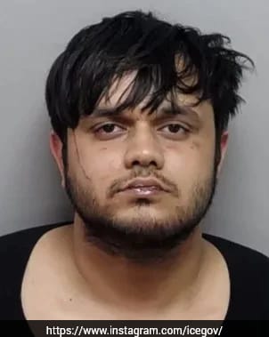 The Art of Baking: From Classic Bread to Artisan Pastries