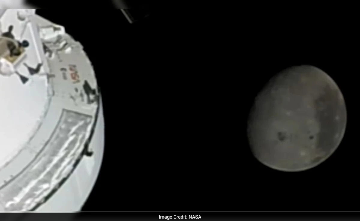 The Art of Baking: From Classic Bread to Artisan Pastries