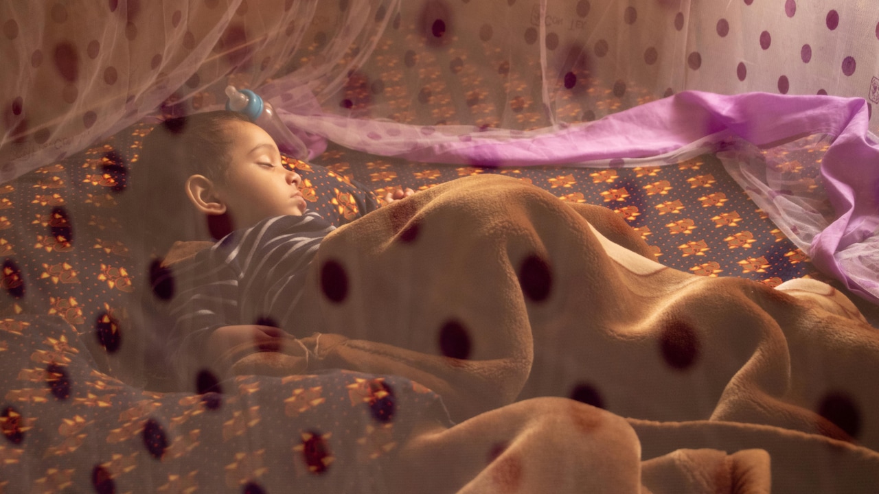 Affordable mosquito net you can grab during summers