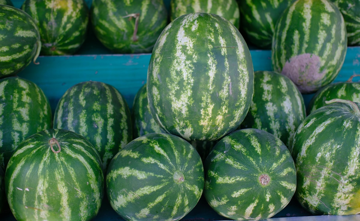 धारीदार या सादा तरबूज, गर्मियों में कौन सा चुनें? जानिए सही तरबूज कैसे चुनें?