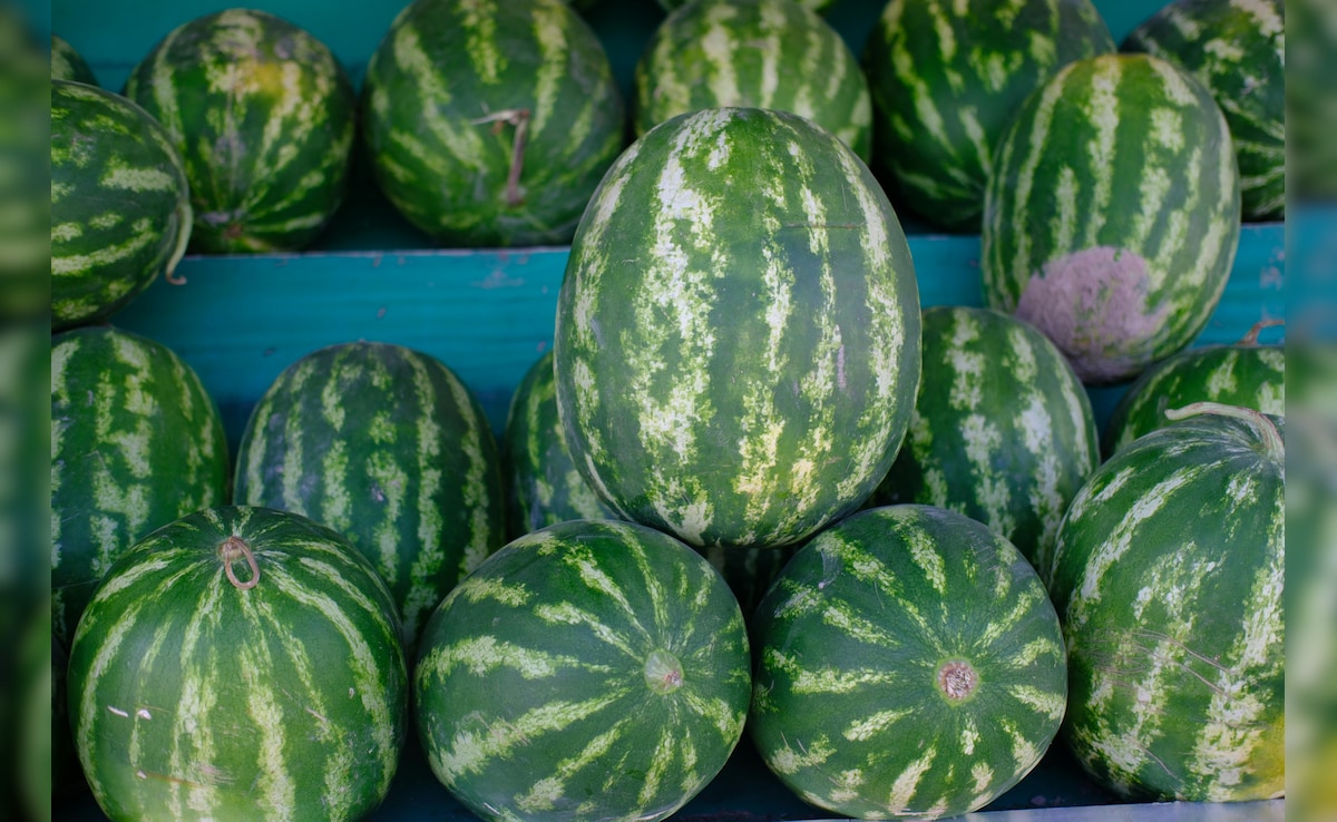 धारीदार या सादा तरबूज, गर्मियों में कौन सा चुनें? जानिए सही तरबूज कैसे चुनें?