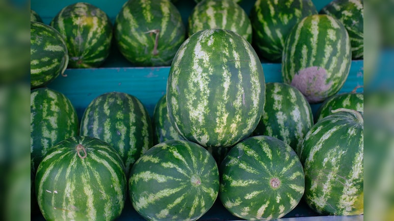 धारीदार या सादा तरबूज, गर्मियों में कौन सा चुनें? जानिए सही तरबूज कैसे चुनें?