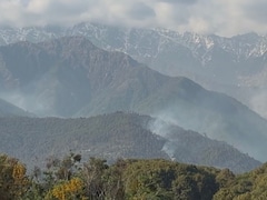 Himachal News: पालमपुर के जंगलों में भड़की भीषण आग, 48 घंटे से जल रही धौलाधार की पहाड़ियां; जंगली जानवरों पर भी संकट