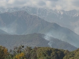 Himachal News: पालमपुर के जंगलों में भड़की भीषण आग, 48 घंटे से जल रही धौलाधार की पहाड़ियां; जंगली जानवरों पर भी संकट