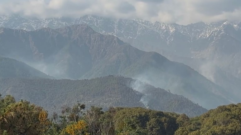 Himachal News: पालमपुर के जंगलों में भड़की भीषण आग, 48 घंटे से जल रही धौलाधार की पहाड़ियां; जंगली जानवरों पर भी संकट