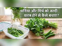 धनिया और मिर्च को लंबे समय तक फ्रेश कैसे रखें? यहां जानें स्टोर करने का आसान तरीका