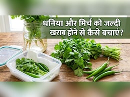 धनिया और मिर्च को लंबे समय तक फ्रेश कैसे रखें? यहां जानें स्टोर करने का आसान तरीका
