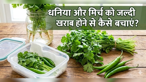 धनिया और मिर्च को लंबे समय तक फ्रेश कैसे रखें? यहां जानें स्टोर करने का आसान तरीका