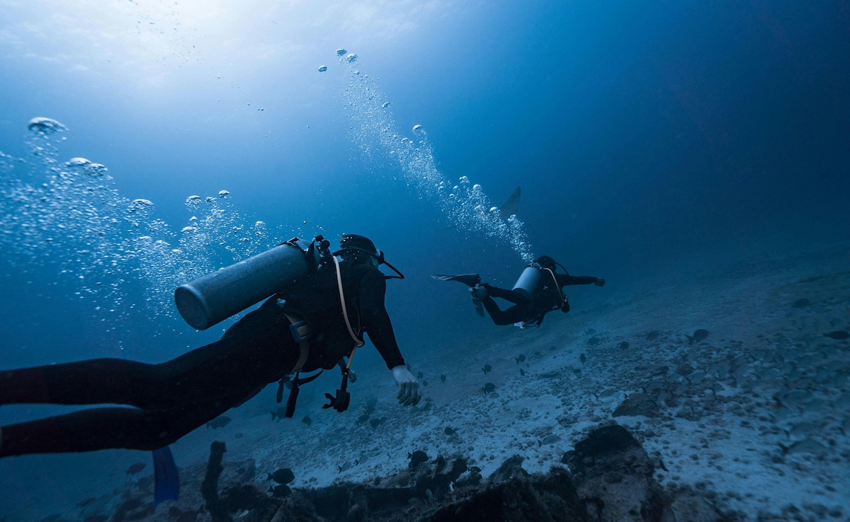 Latest and Breaking News on NDTV Latest and Breaking News on NDTV