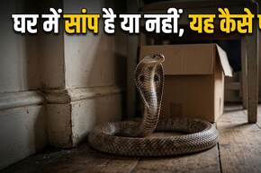हो जाएं सावधान! ये 5 संकेत बताते हैं आपके घर में छिपा हो सकता है सांप!