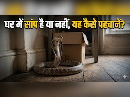 घर में अचानक दिखें ये 5 चीजें? समझ जाएं, आसपास हो सकता है सांप