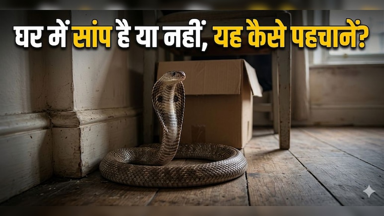 घर में अचानक दिखें ये 5 चीजें? समझ जाएं, आसपास हो सकता है सांप