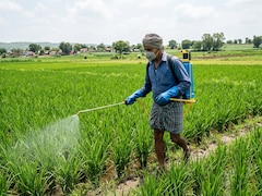 Regular Exposure To Pesticides May Raise Cancer Risk By 150%: Study