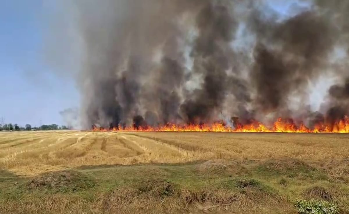पहले बारिश ने तोड़ी कमर, अब आग ने जलाए किसानों के अरमान, बिहार में सैकड़ों बीघा फसल राख