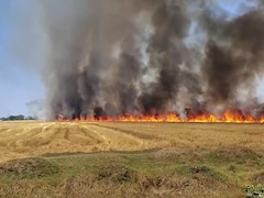 पहले ओले-बारिश ने तोड़ी कमर, अब बिहार में आग ने जलाए किसानों के अरमान, 250 बीघा फसल राख