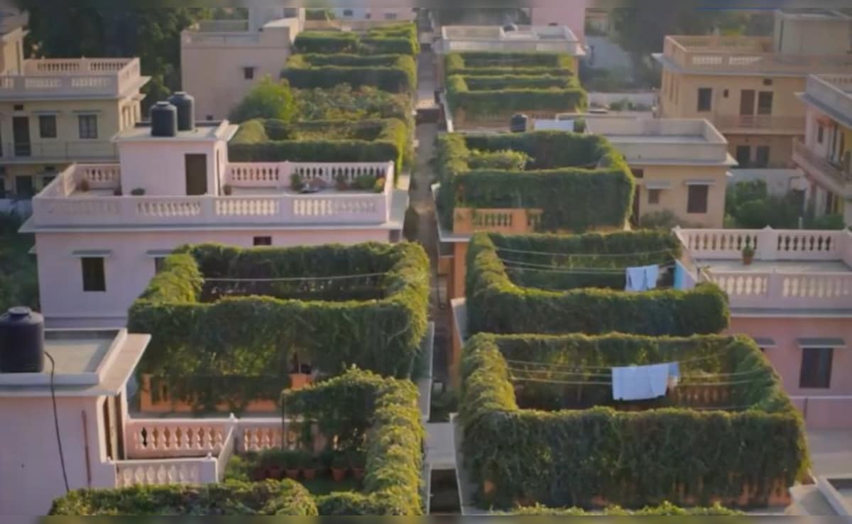 VIDEO: न बिजली बिल, न AC! जयपुर वालों ने ढूंढ निकाला गर्मी का परमानेंट इलाज