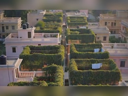 VIDEO: न बिजली बिल, न AC! जयपुर वालों ने ढूंढ निकाला गर्मी का परमानेंट इलाज