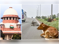 सड़कों से आवारा पशुओं को हटाने का मामला पहुंचा अदालत,  सुप्रीम कोर्ट ने केंद्र से मांगा जवाब