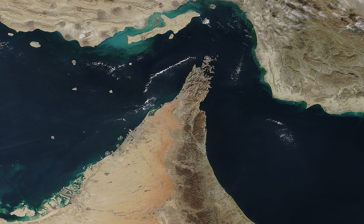 The Art of Baking: From Classic Bread to Artisan Pastries