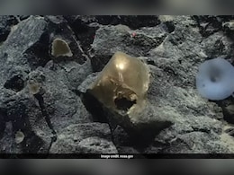 समुद्र की गहराई में मिला 'रहस्यमयी अंडा', क्या एलियंस का था कनेक्शन? वैज्ञानिकों ने अब जाकर सुलझाई गुत्थी!