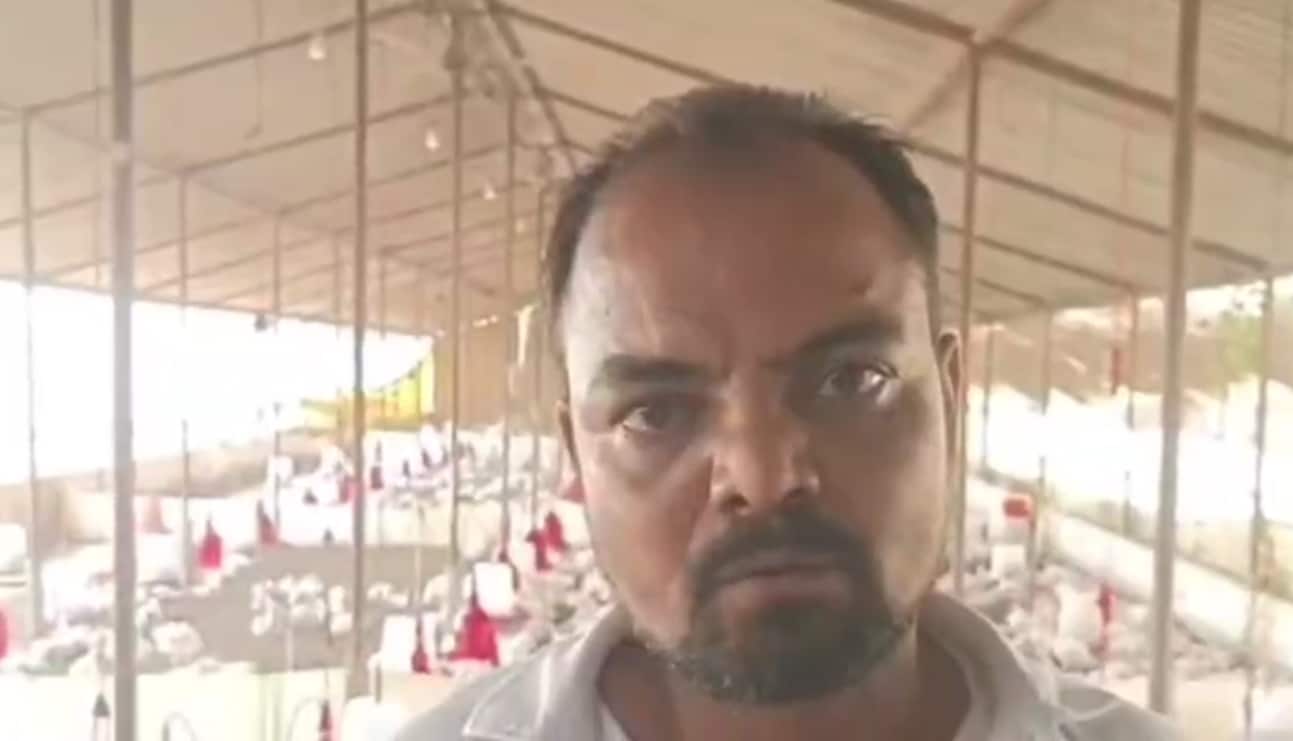 UP news 140 chickens die due to loud dj noise in sultanpur