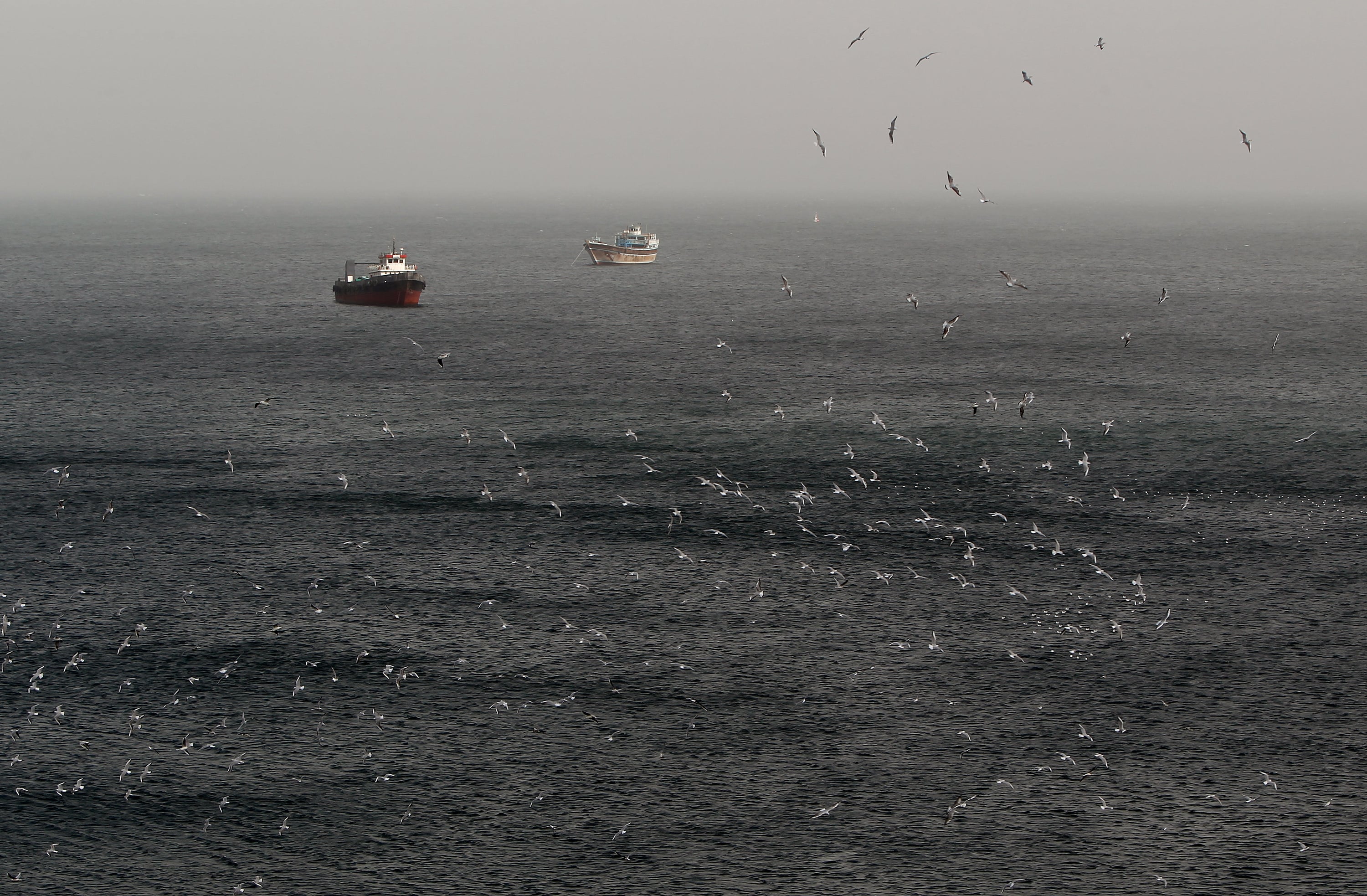 2,000 Ships, 20,000 Sailors, A Flood Of SOSs: Hormuz Blockade's Human Cost