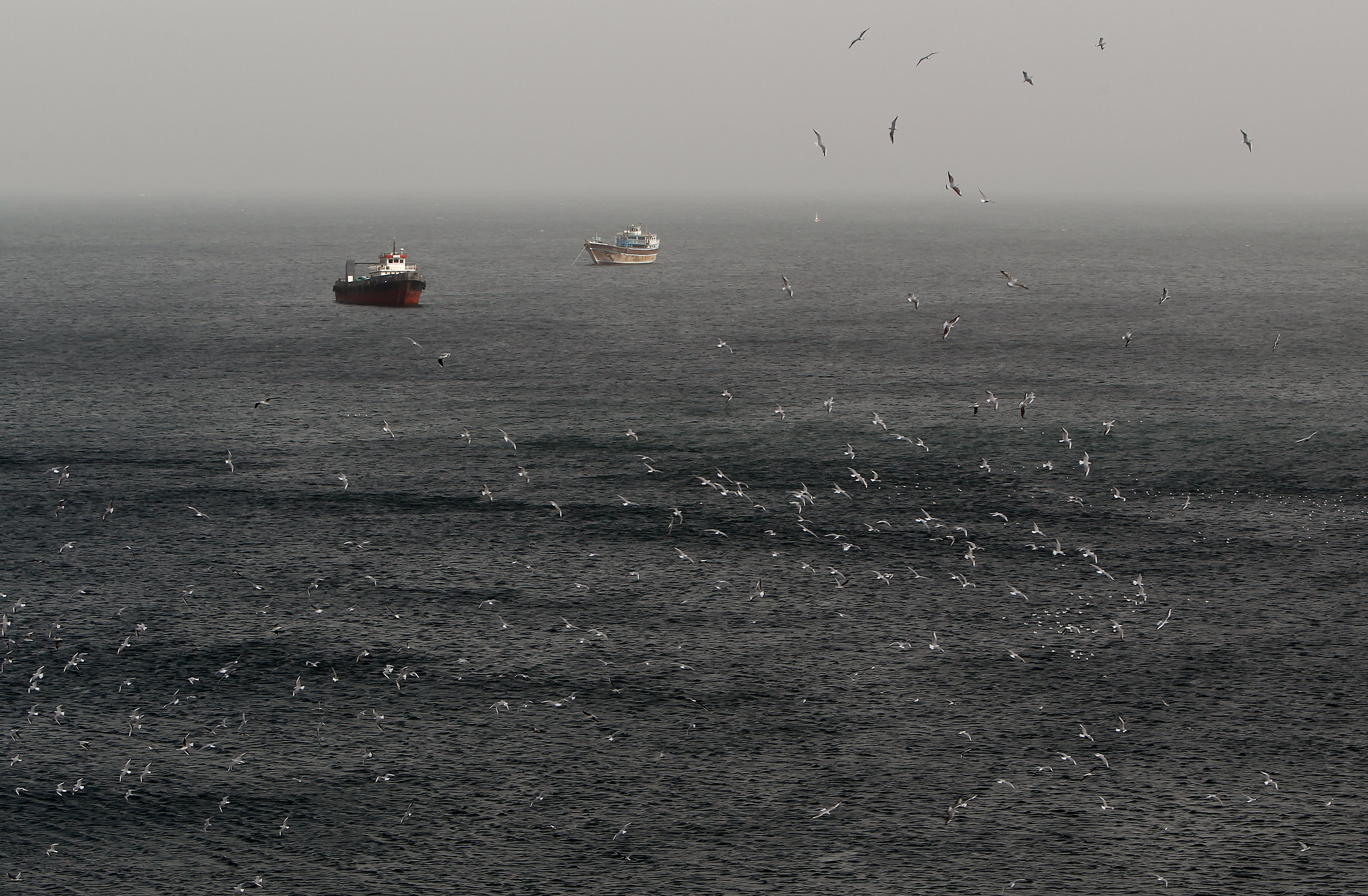 2,000 Ships, 20,000 Sailors, A Flood Of SOSs: Hormuz Blockade's Human Cost