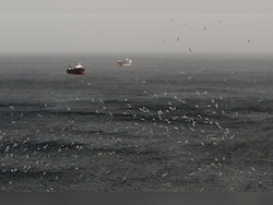 2,000 Ships, 20,000 Sailors, A Flood Of SOSs: Hormuz Blockade's Human Cost