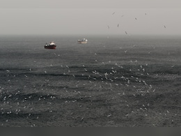 2,000 Ships, 20,000 Sailors, SOS Barrage: Hormuz Blockade's Human Cost