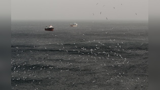 2,000 Ships, 20,000 Sailors, A Flood Of SOSs: Hormuz Blockade's Human Cost