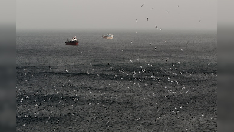 2,000 Ships, 20,000 Sailors, SOS Barrage: Hormuz Blockade's Human Cost