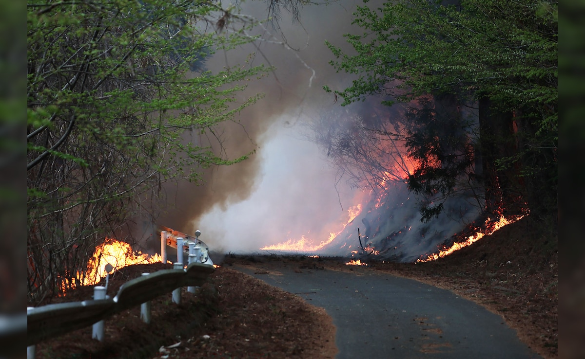 भूकंप, सुनामी और अब जंगल की आग... जापान में कुदरत ने 4 दिन में कैसे कहर ढा दिया- PHOTOS