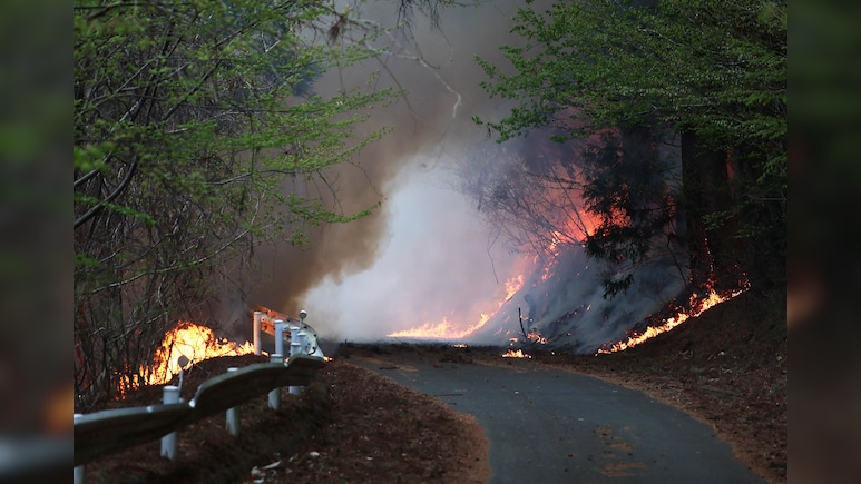 भूकंप, सुनामी और अब जंगल की आग... जापान में कुदरत ने 4 दिन में कैसे कहर ढा दिया- PHOTOS