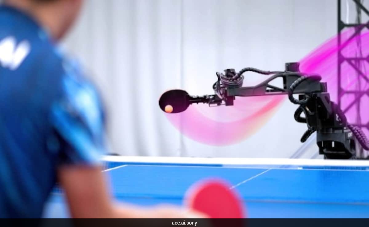 The Art of Baking: From Classic Bread to Artisan Pastries