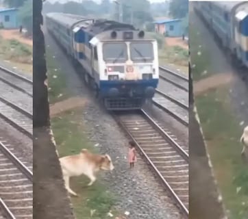 इंसानी जज्बात या AI का 'मायाजाल'? रेलवे ट्रैक पर गाय के इस वायरल रेस्क्यू ने पूरी दुनिया को किया कन्फ्यूज!