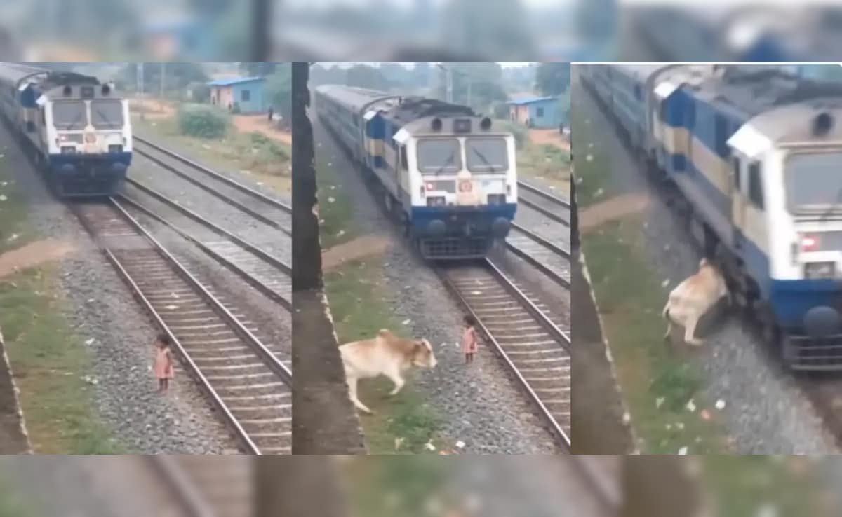 इंसानी जज्बात या AI का 'मायाजाल'? रेलवे ट्रैक पर गाय के इस वायरल रेस्क्यू ने पूरी दुनिया को किया कन्फ्यूज!