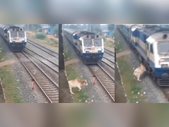 इंसानी जज्बात या AI का 'मायाजाल'? रेलवे ट्रैक पर गाय के इस वायरल रेस्क्यू ने पूरी दुनिया को किया कन्फ्यूज!