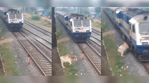 इंसानी जज्बात या AI का 'मायाजाल'? रेलवे ट्रैक पर गाय के इस वायरल रेस्क्यू ने पूरी दुनिया को किया कन्फ्यूज!