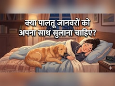 Pets के साथ AC Room में सोना चाहिए या नहीं? डॉक्टर से जानिए सच
