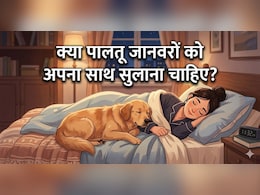 Pets के साथ AC Room में सोना चाहिए या नहीं? डॉक्टर से जानिए सच