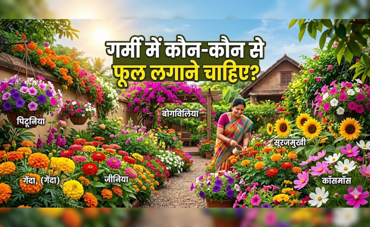 तपती गर्मी में भी ये 5 पौधे आपकी घर की बालकनी को रखेंगे ठंडा!