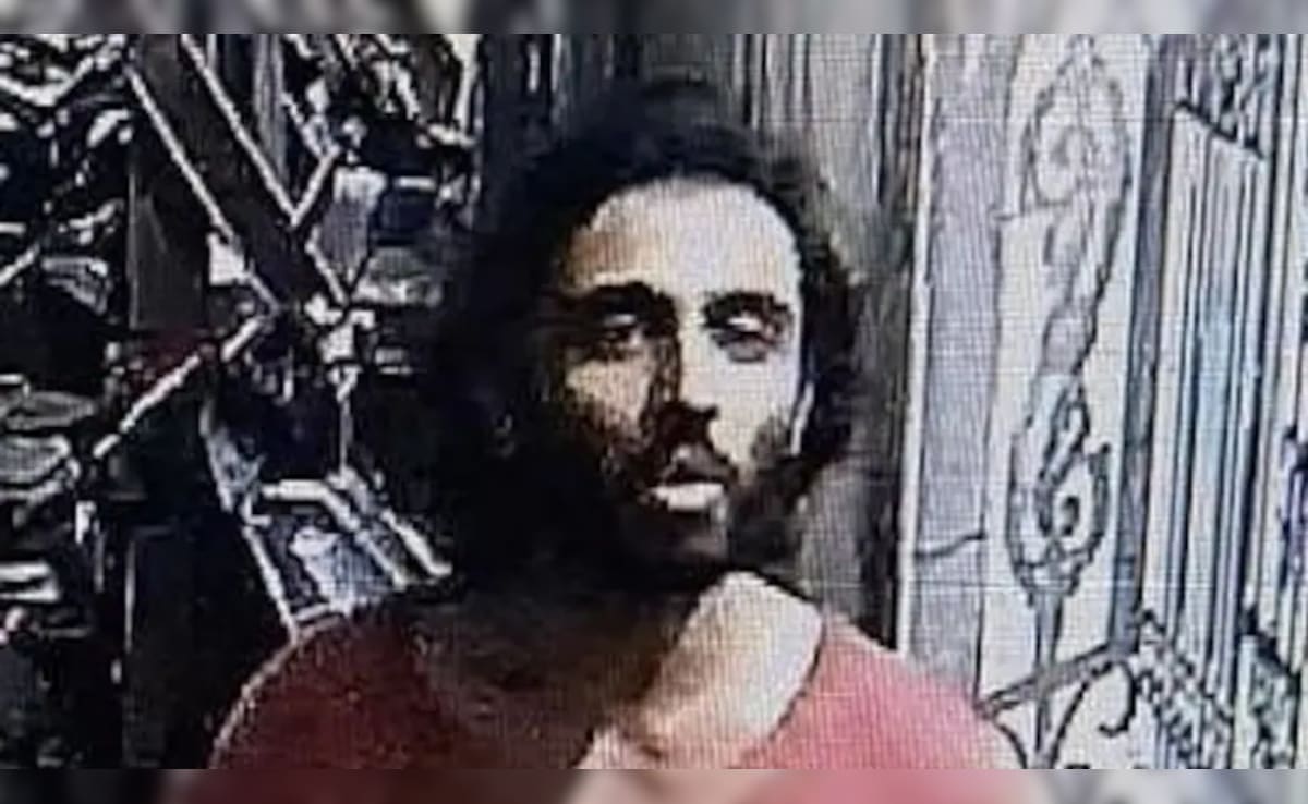 The Art of Baking: From Classic Bread to Artisan Pastries