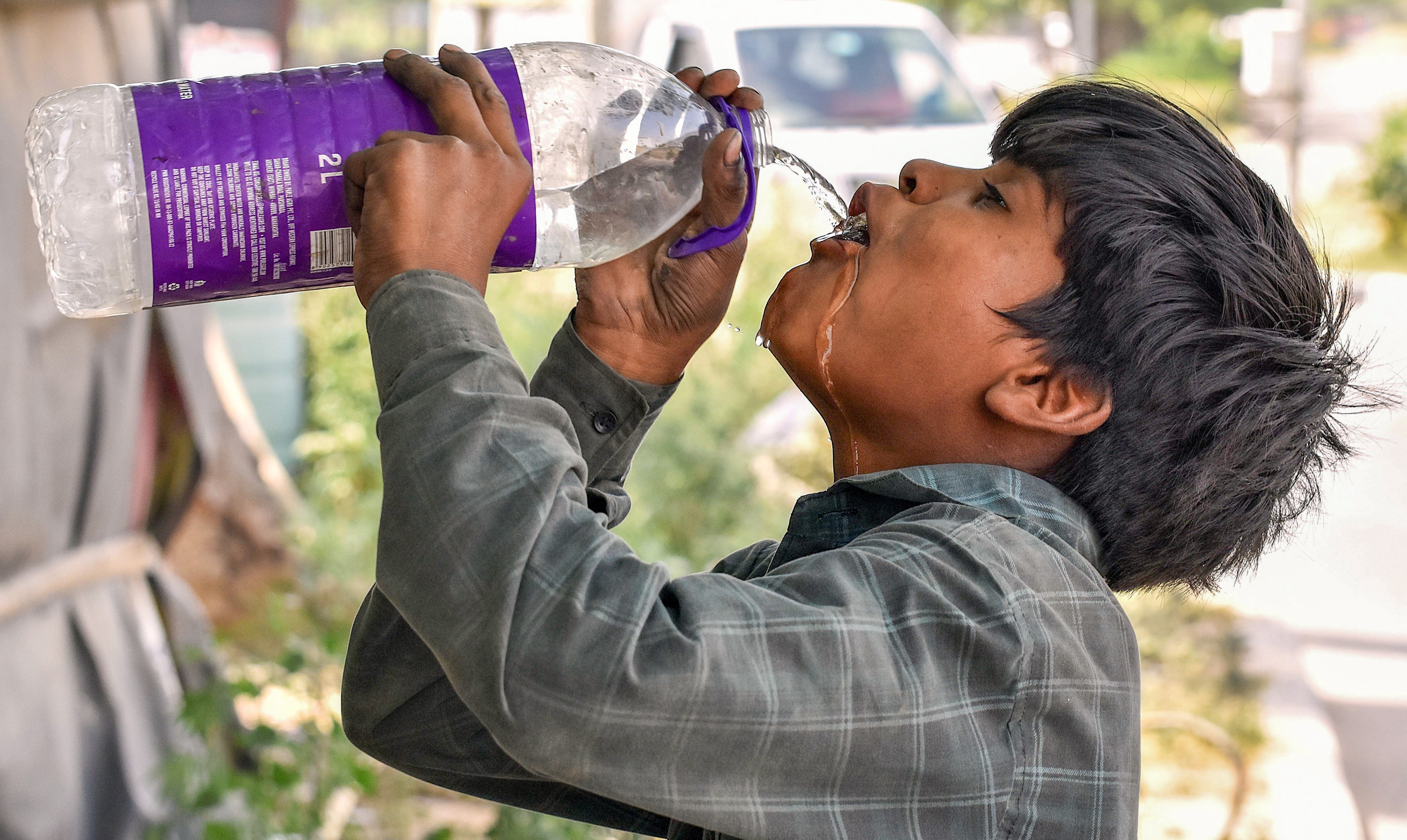 Latest and Breaking News on NDTV