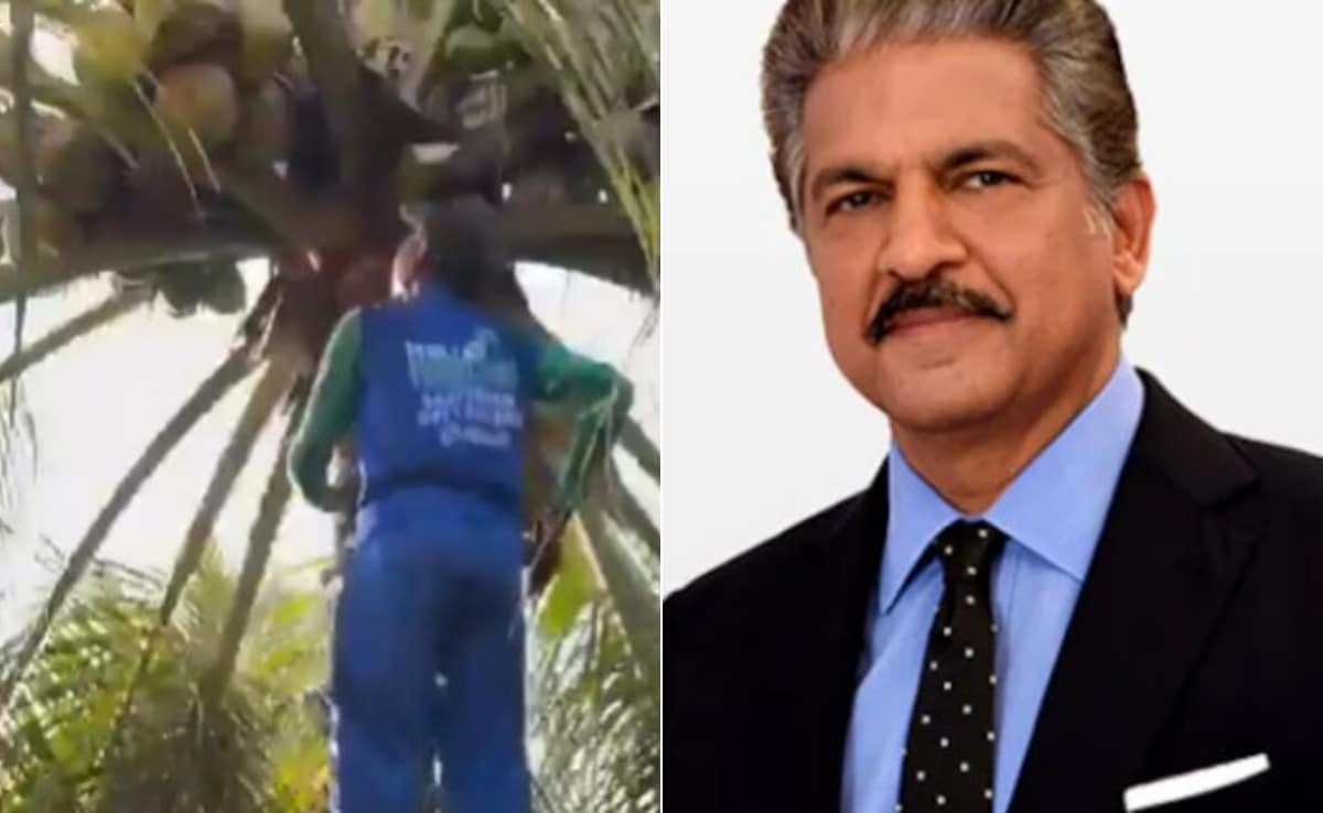 Uber की तरह बुक किया! और घर पहुंच गया नारियल तोड़ने वाला, केरल की इस सर्विस से आनंद महिंद्रा भी हुए इंप्रेस