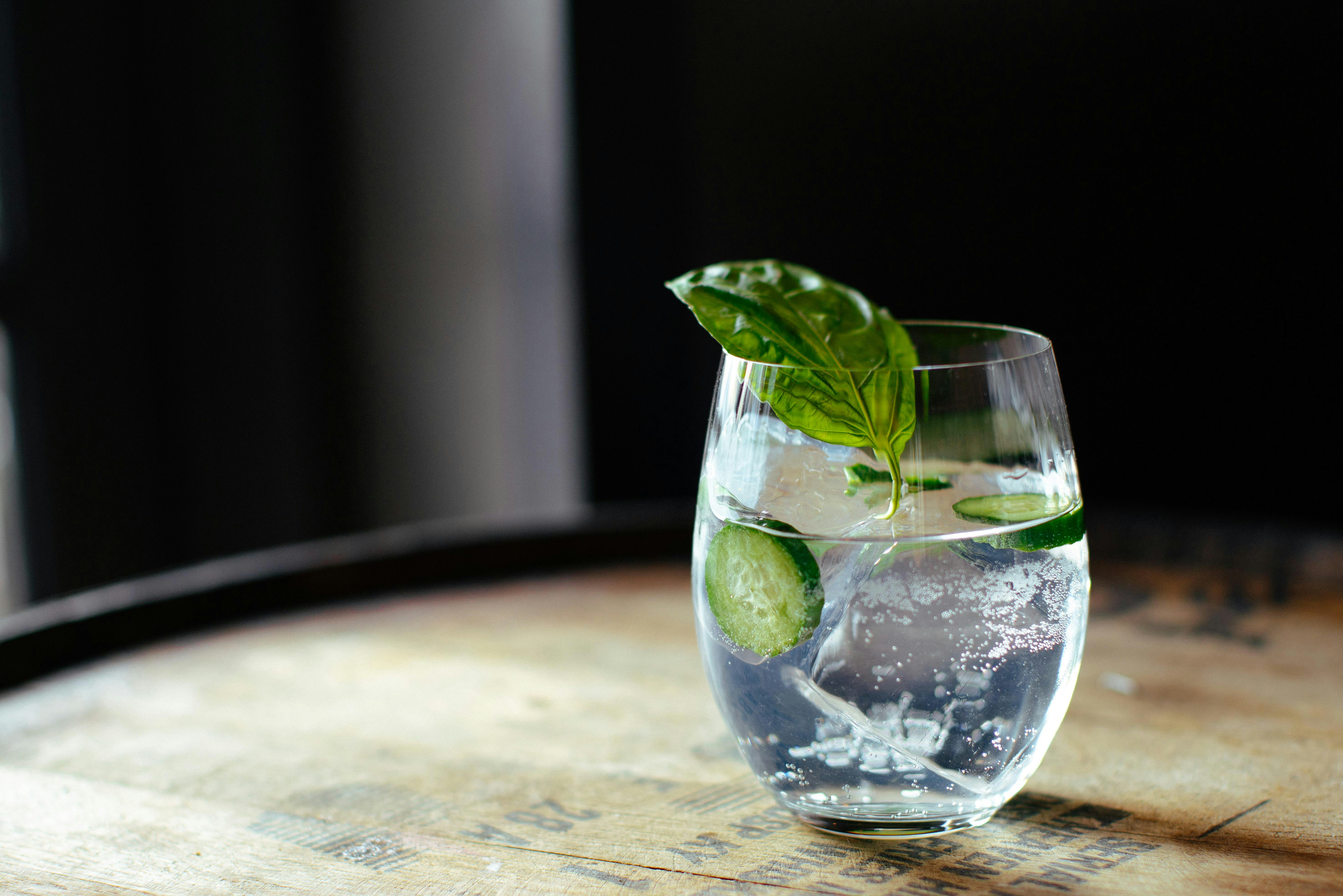 5 Tips To Make The Perfect Gin And Tonic At Home